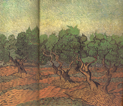 Olive Grove (nn04)